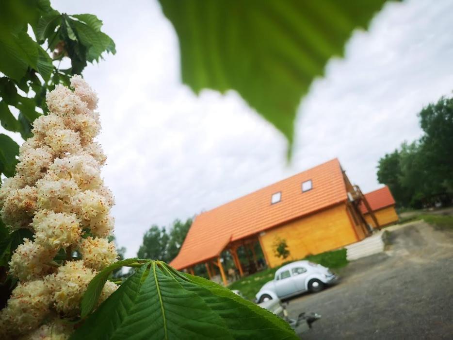Tiszaeszlar Tomajor Vendeghazak 아파트 외부 사진